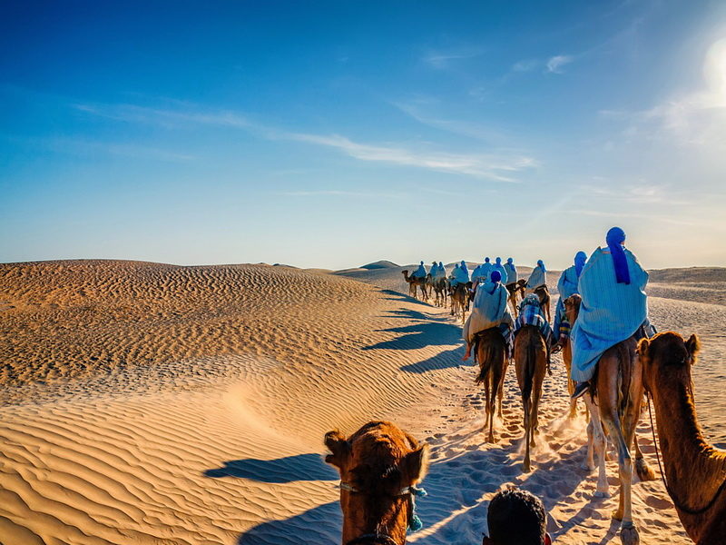 Караван верблюдов идет по Сахаре, Тунис